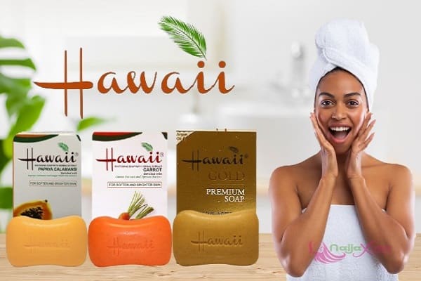Does Hawaii Soap Bleach? What To Know (Hawaii Soap Review)